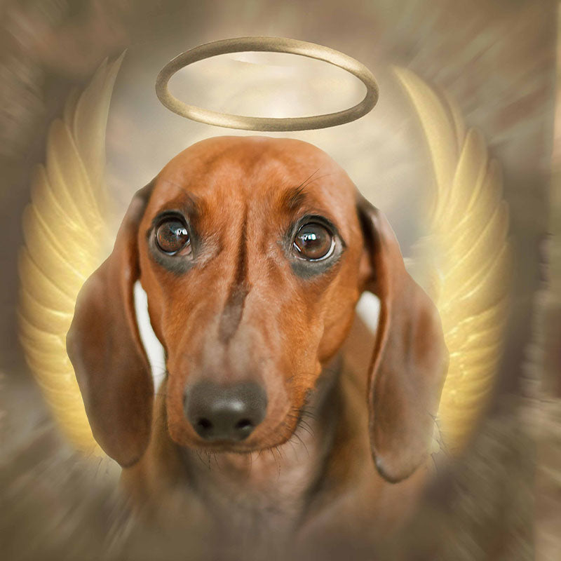 El ángel - retrato sobre lienzo y marco de madera