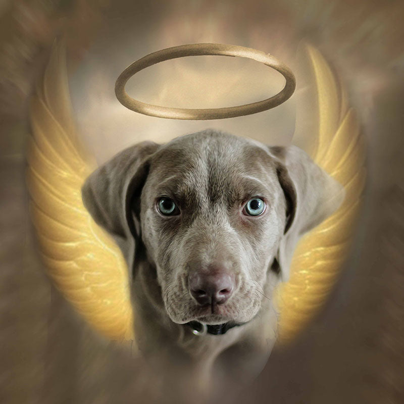 El ángel - retrato sobre lienzo y marco de madera