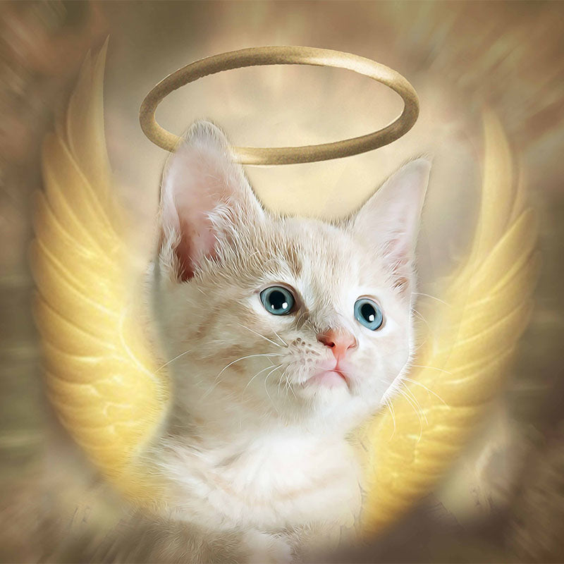 El ángel - retrato sobre lienzo y marco de madera