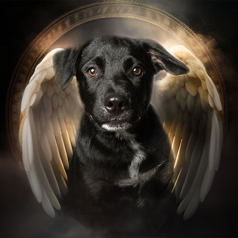 El ángel - retrato sobre lienzo y marco de madera