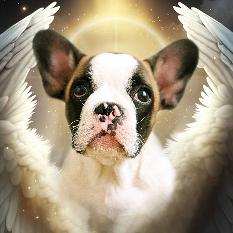 El ángel - retrato sobre lienzo y marco de madera