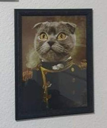 Der Admiral - Poster auf 250g Qualitätsdruck