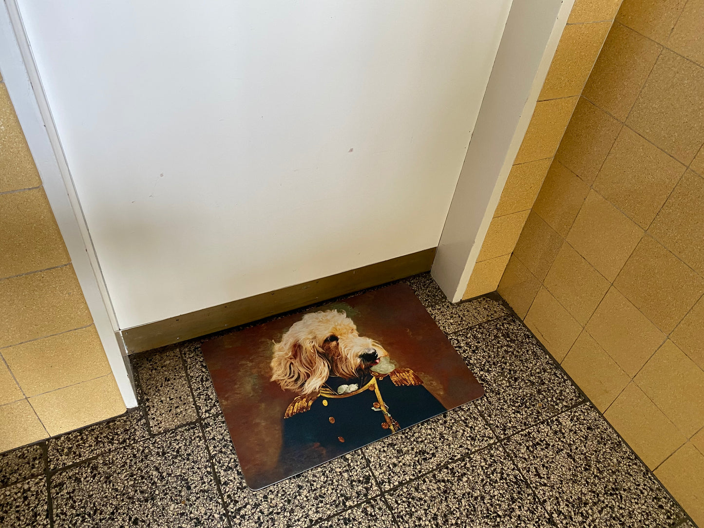 Personalisierte Fußmatte (Hund und Katze)