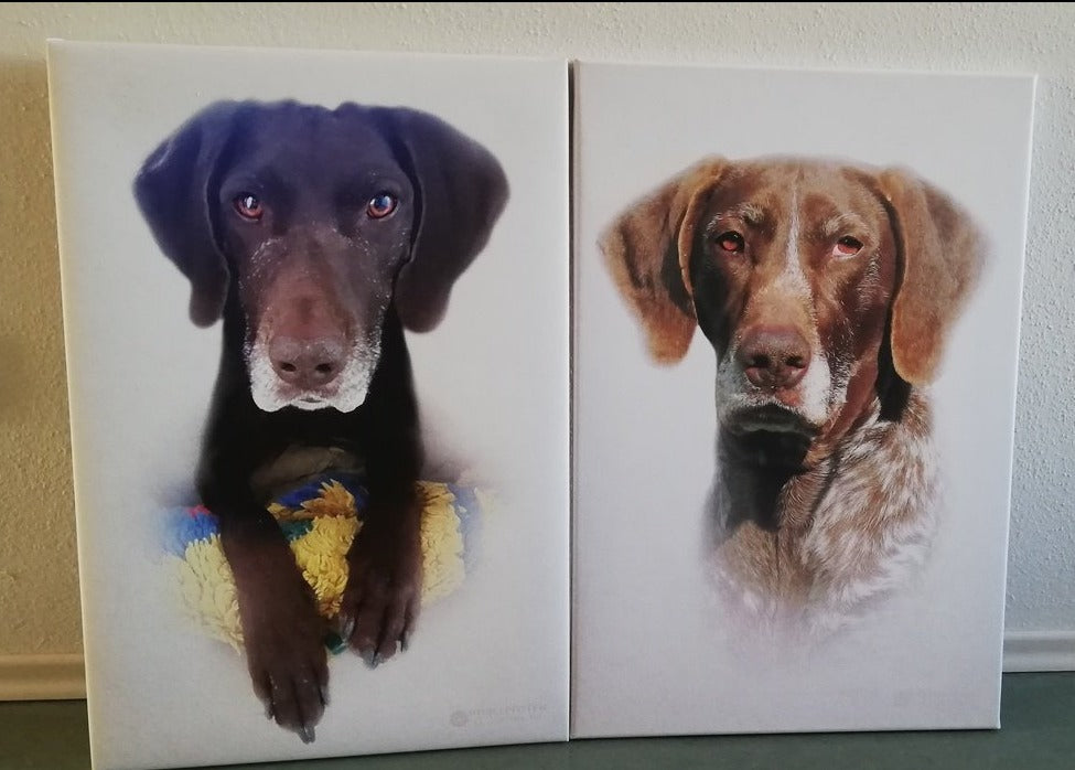 Retrato clásico - Sobre lienzo y marco de madera.