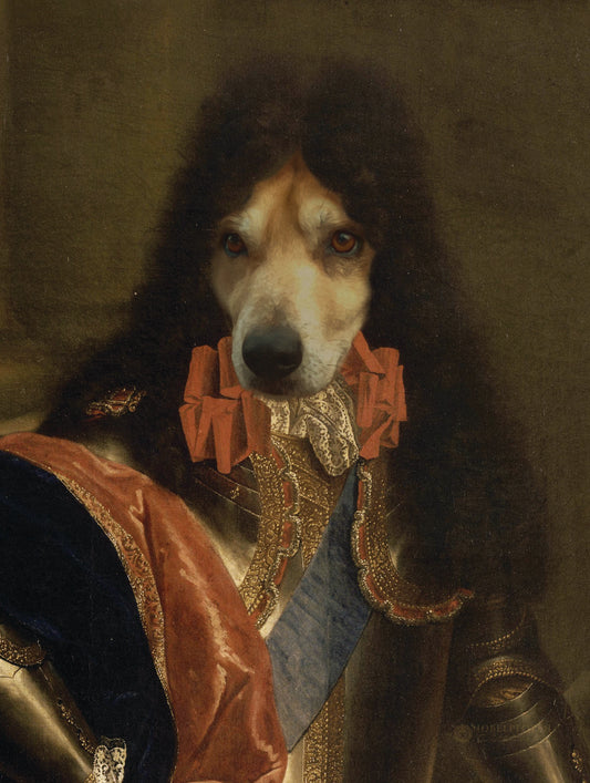 El Rey Sol - retrato sobre lienzo y marco de madera