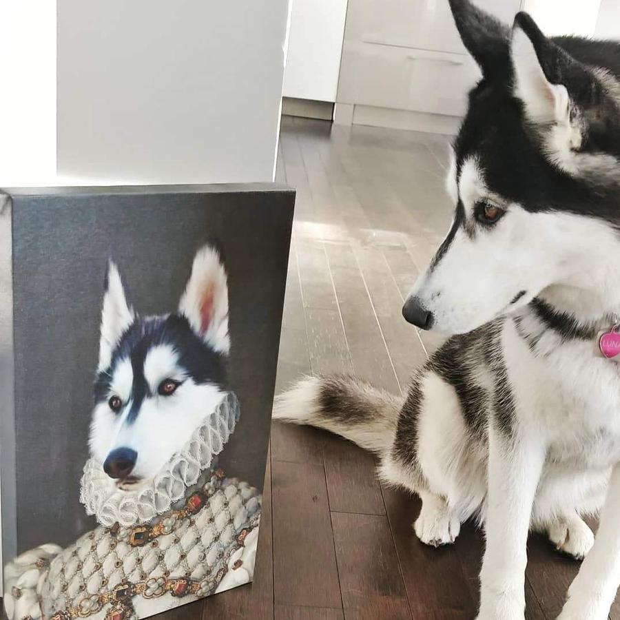 Husky schaut auf sein eigenes Porträt auf Leinwand