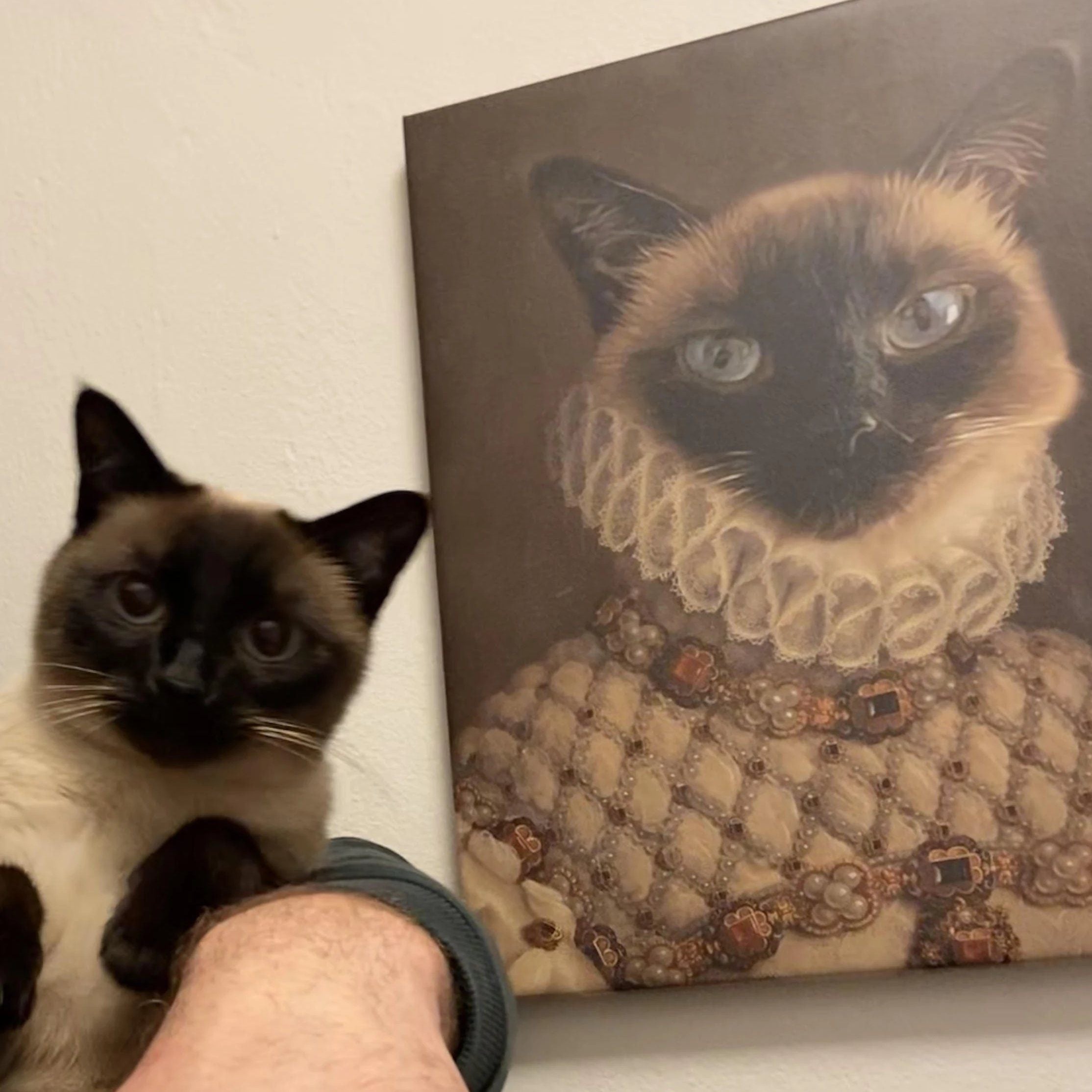 Katzenporträt Katze Gemälde Bild