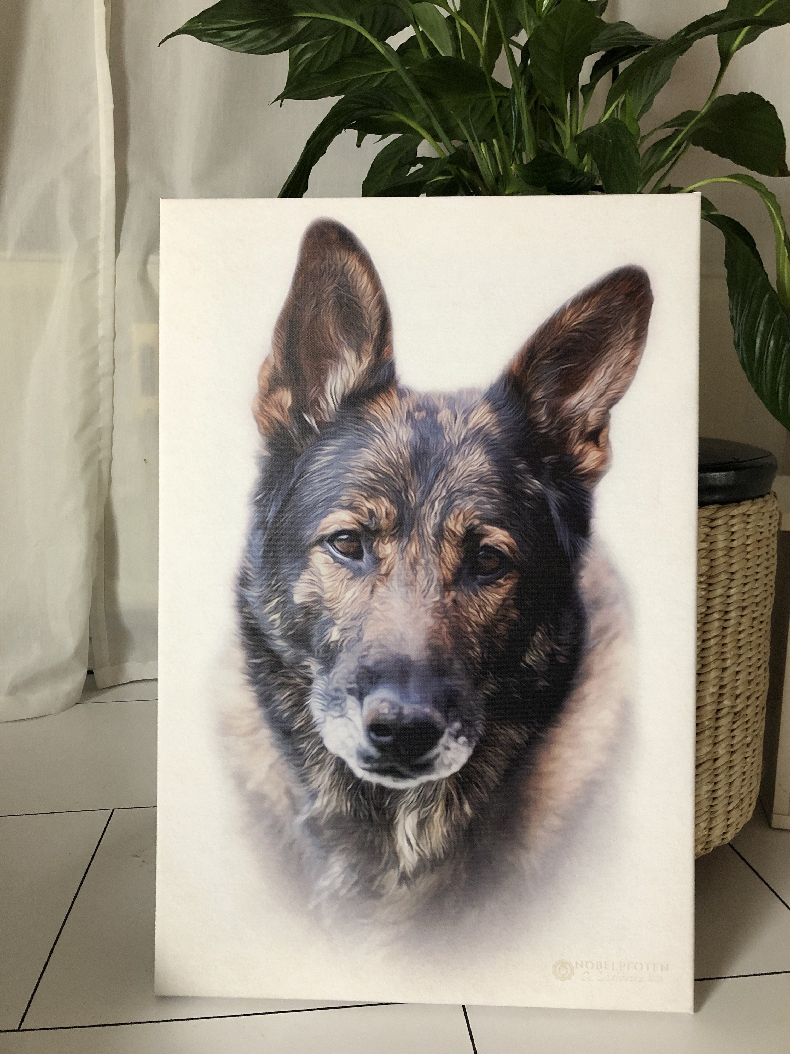Porträt Erinnerung Hund