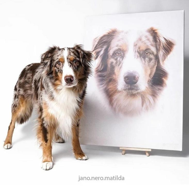 Schöner Hund neben einem großen Hunde Portrait auf Leinwand