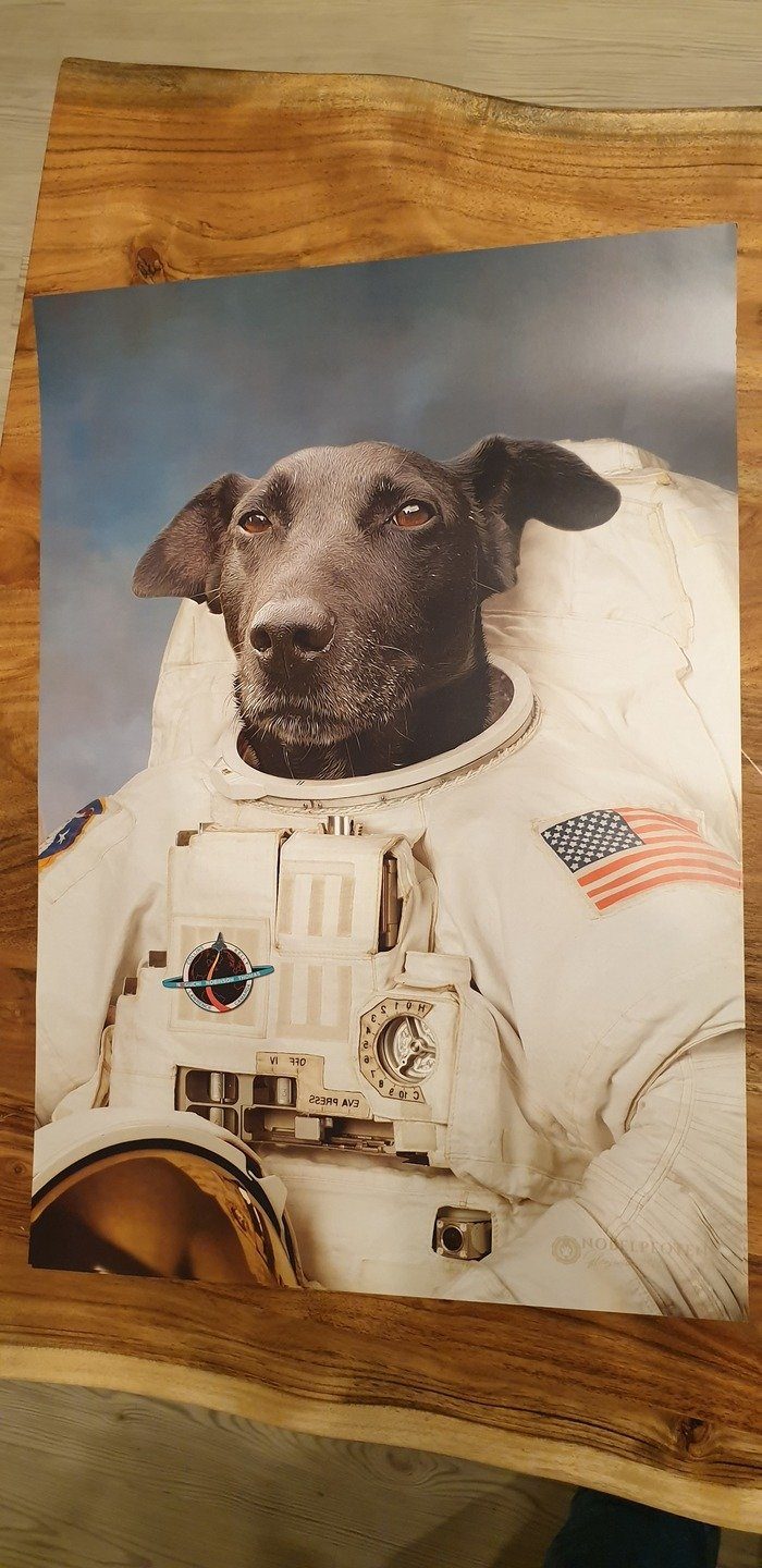 El astronauta - retrato sobre lienzo y marco de madera