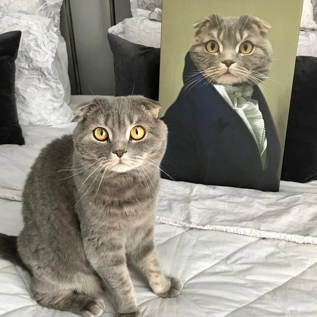 Katze sitzt neben einem Katzen Portrait in Kleidung und schaut erschreckt