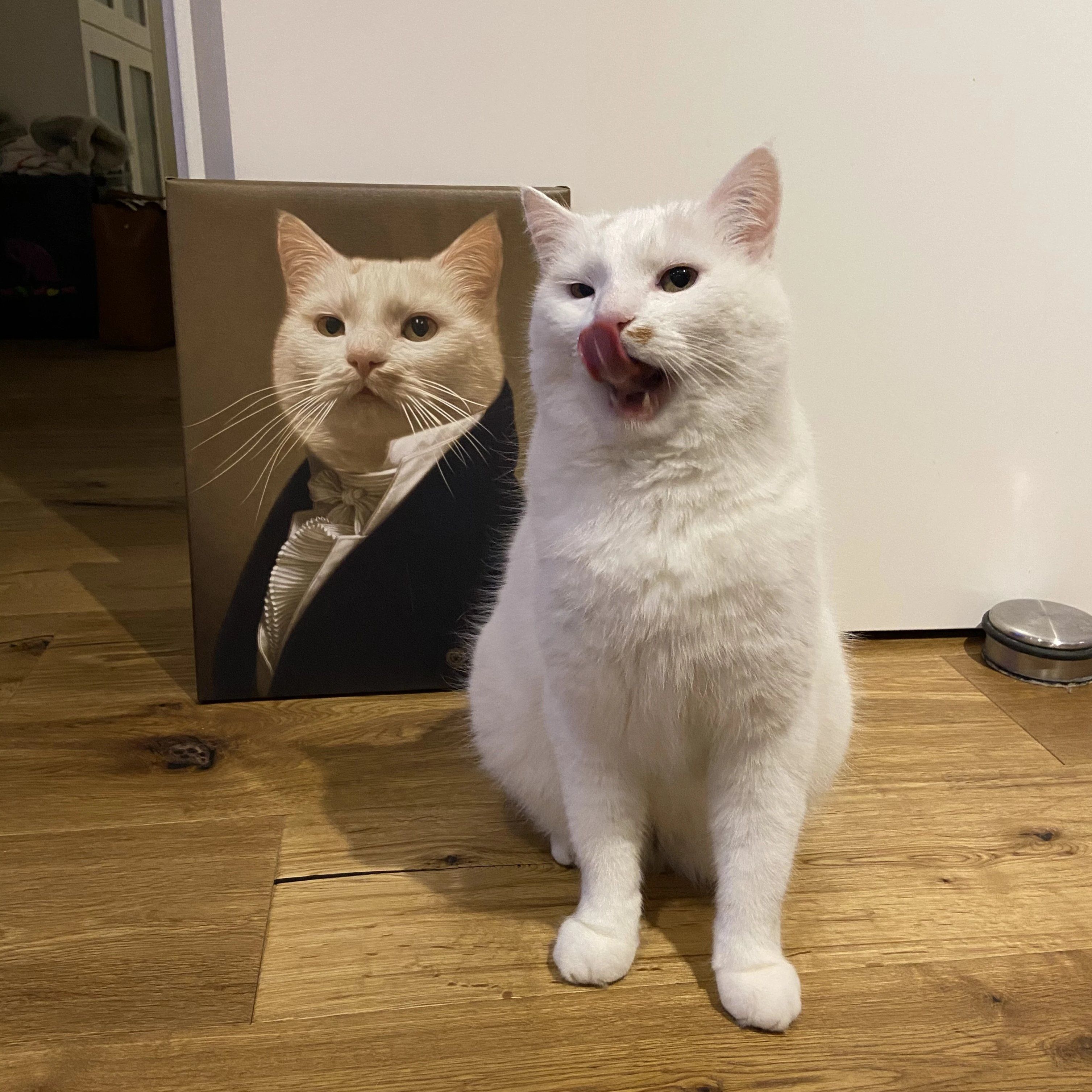 Weiße Katze sitzt neben ihrem Gemälde und leckt sich das Maul