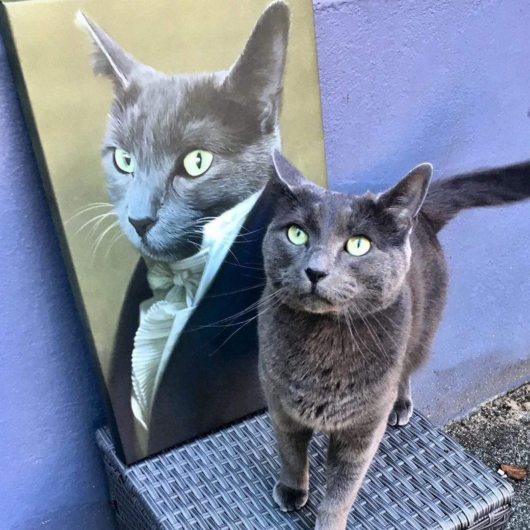 Eine Katze sitzt neben ihrem eigenen Portrait im Garten und schaut in die Kamera