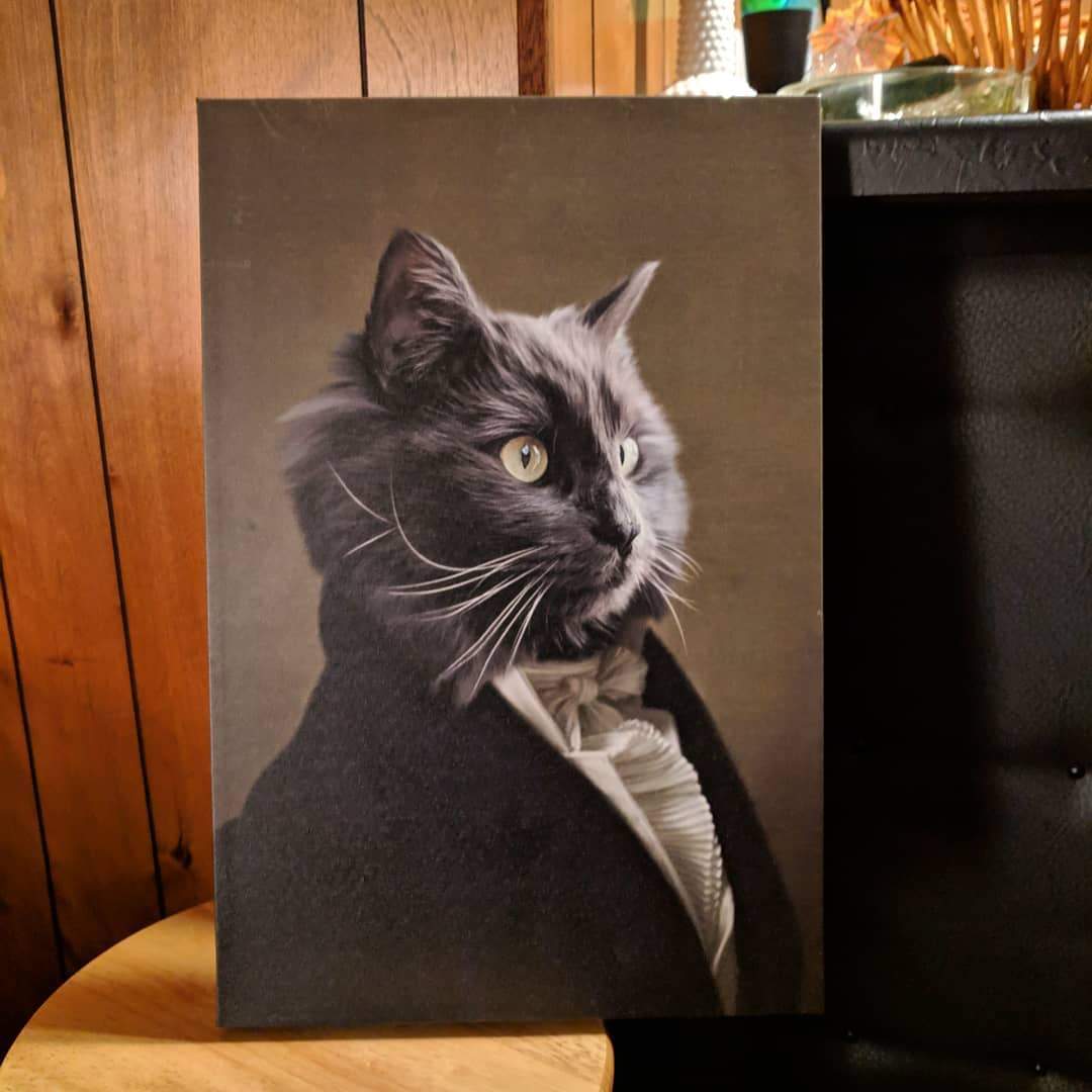 Portrait einer Katze steht auf einem Hocker vor der Bar