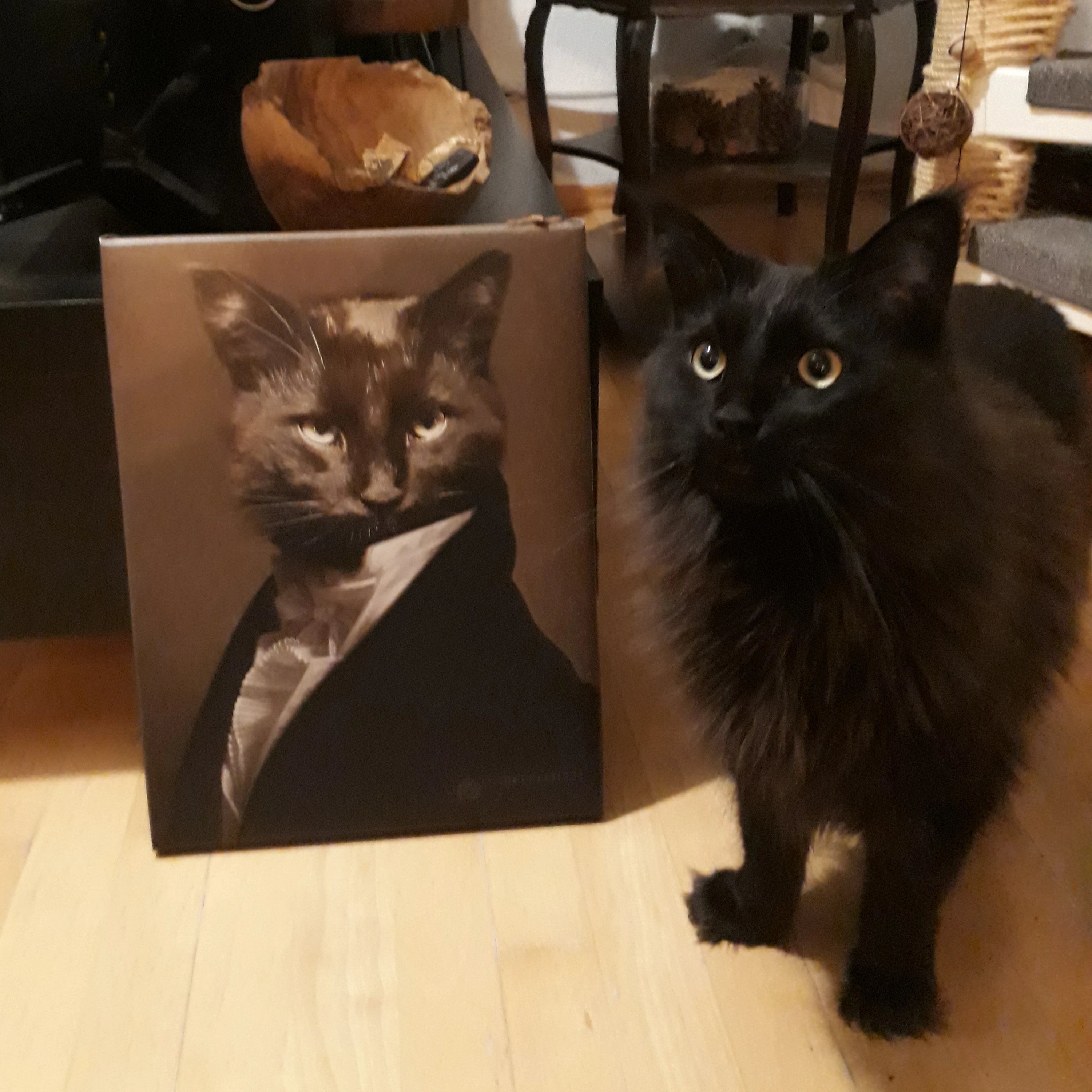 Modernes Gemälde schwarze Katze