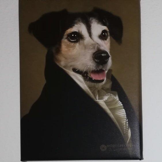 Hund schaut ernst in die Ferne auf seinem Hunde Porträt 