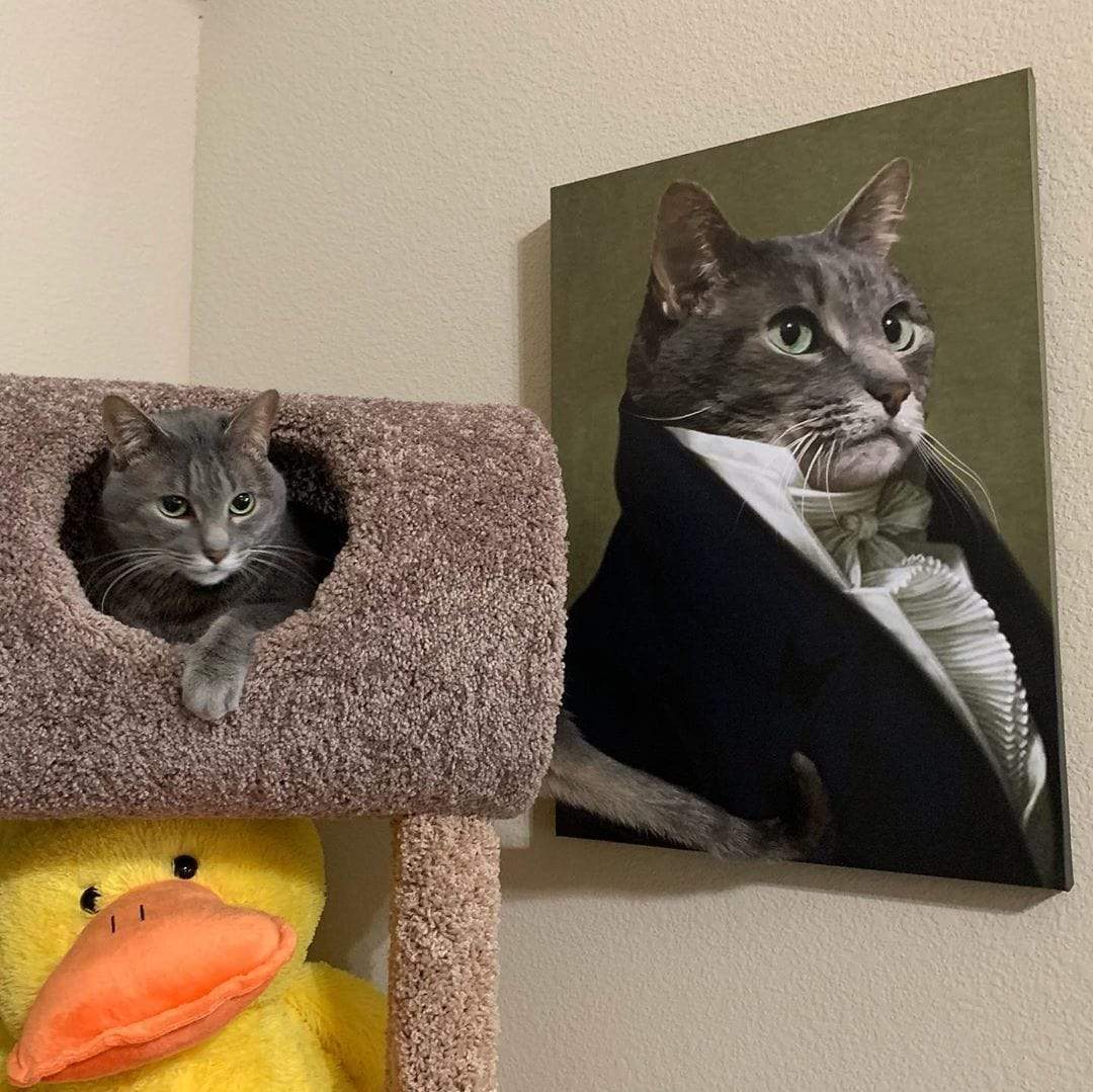Katze sitzt neben ihrem großen Katzenportrait auf einem Kratzbaum