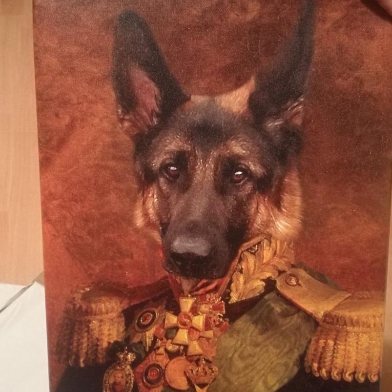 Der Graf - Porträt auf Leinwand und Holzrahmen