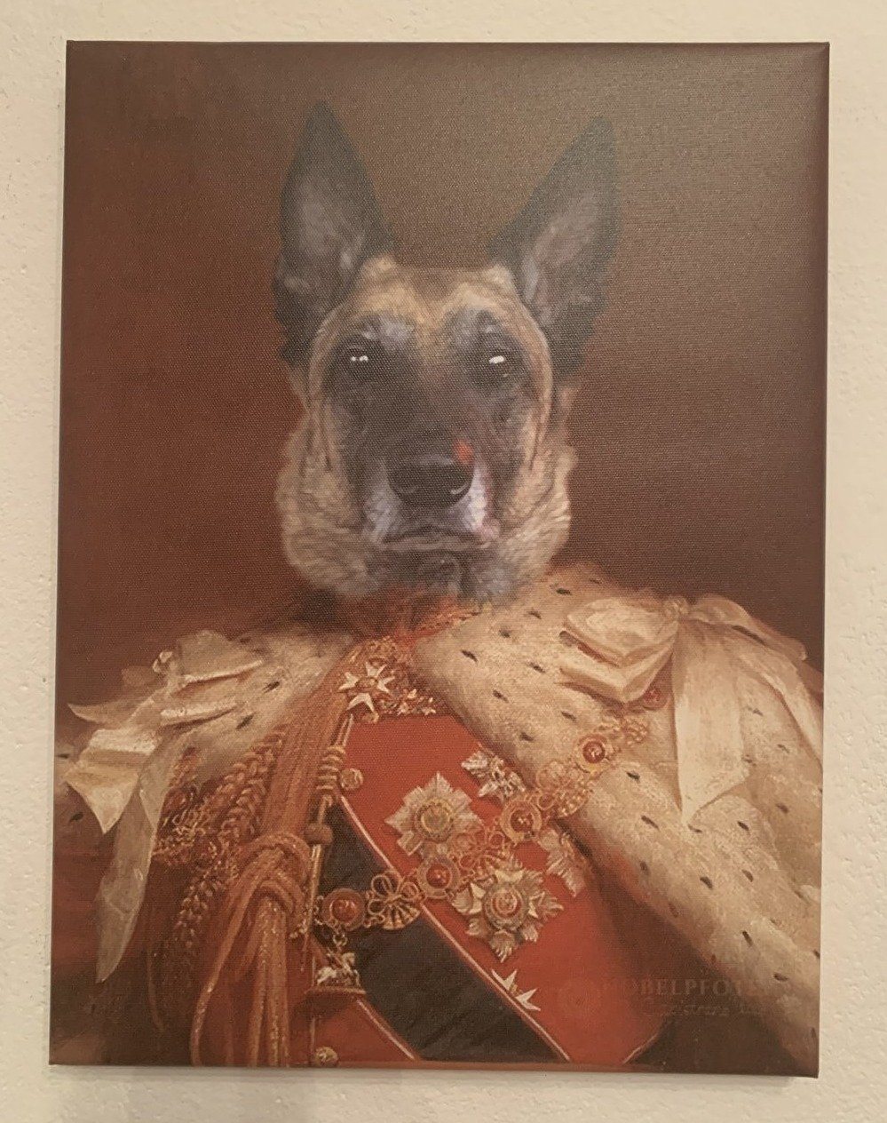 Schäferhund als König