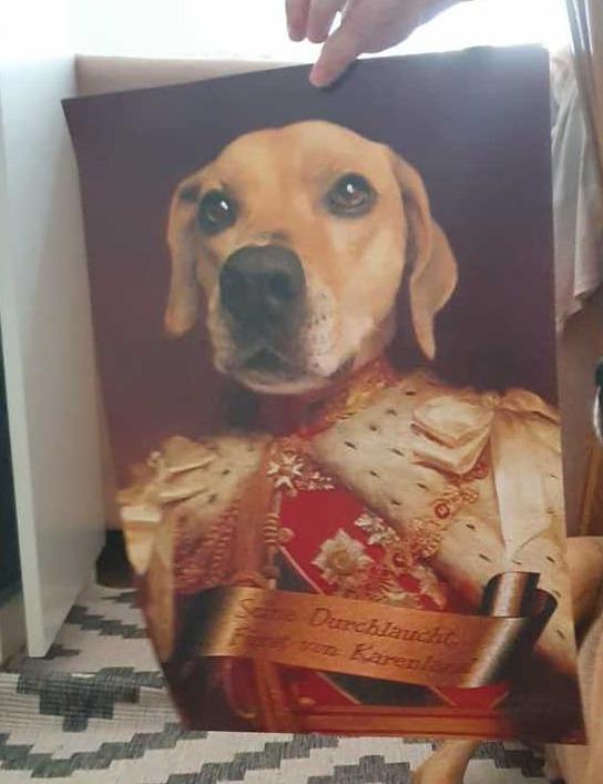 Haustier Portrait König mit Spruchbanderole