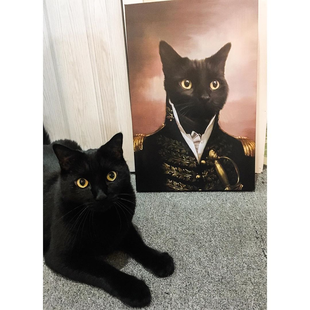 Schwarze Katze als Gemälde auf Leinwand