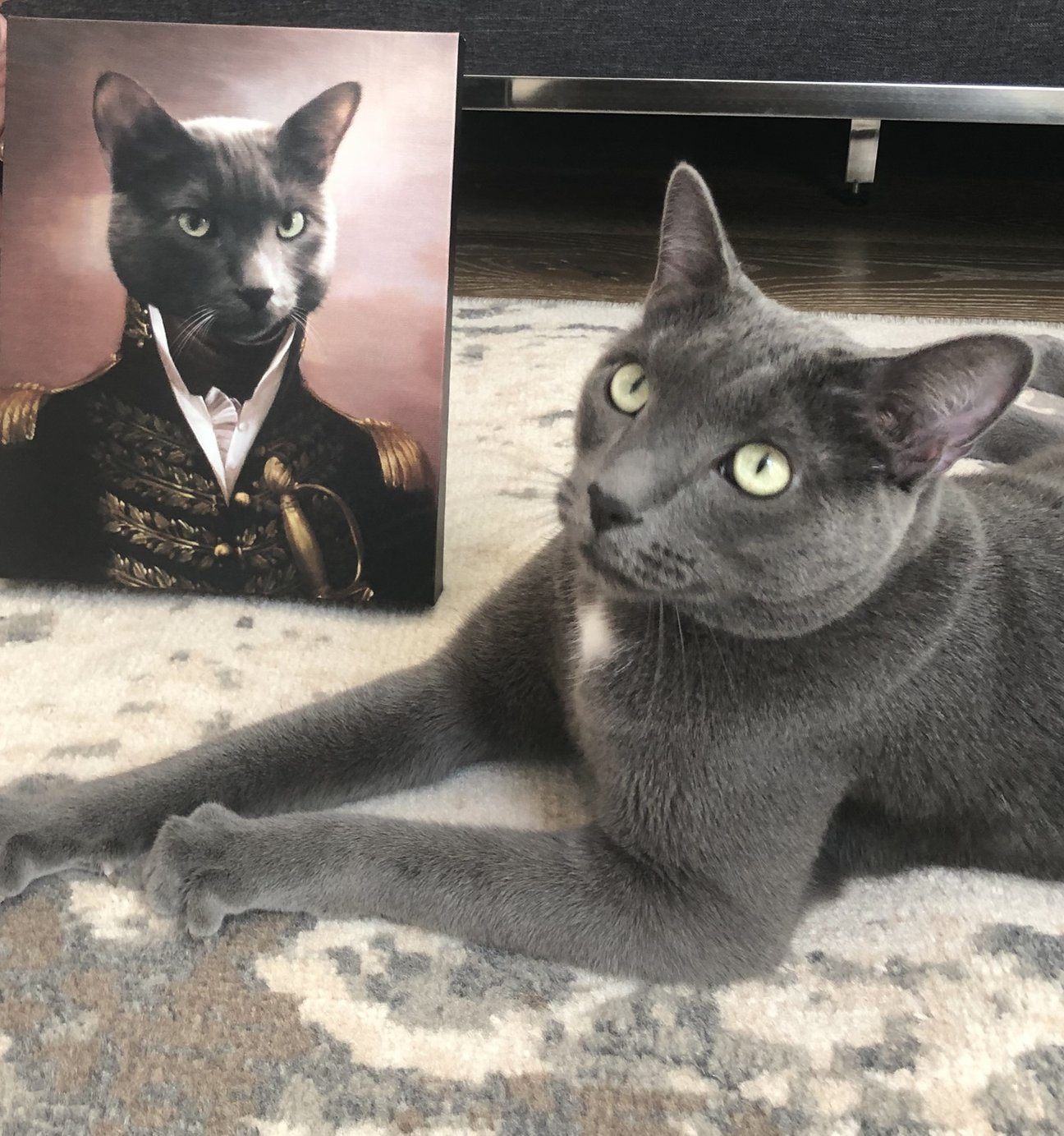 Katzen Porträt als Gemälde auf Leinwand
