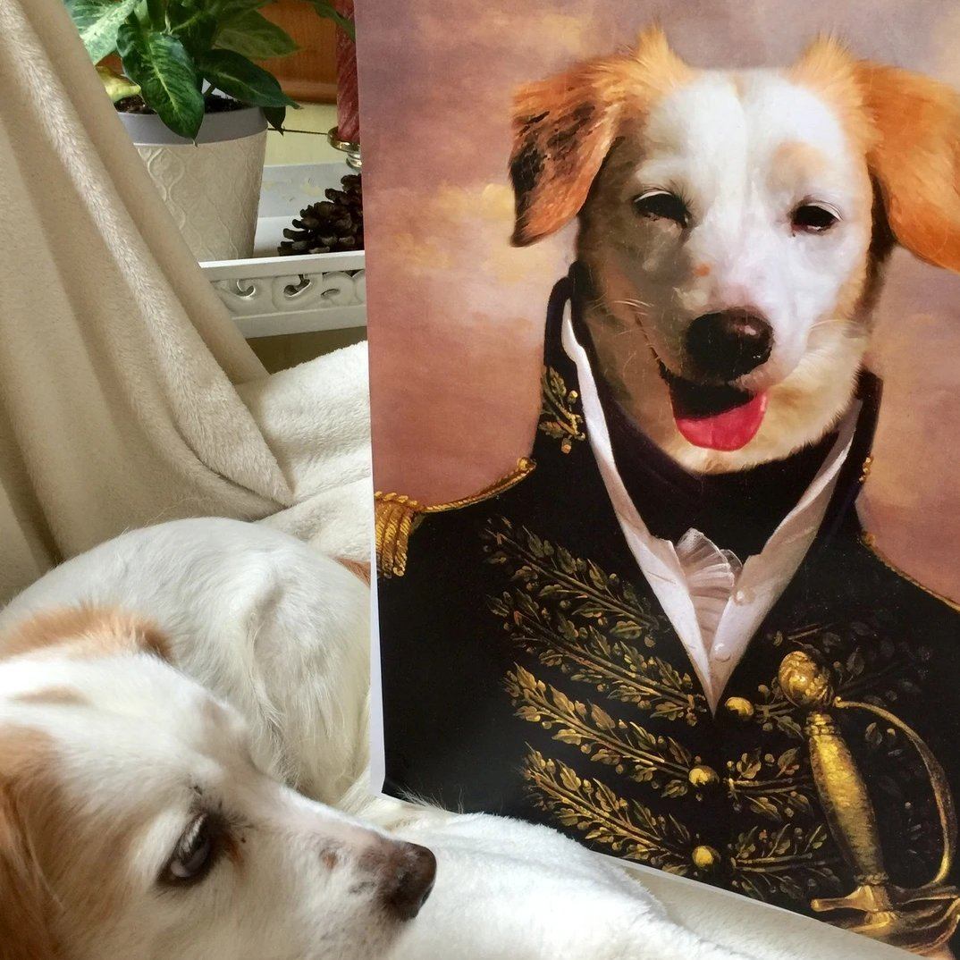 El oficial - retrato sobre lienzo y marco de madera