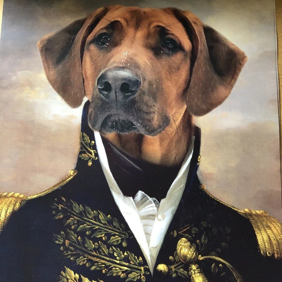 El oficial - retrato sobre lienzo y marco de madera