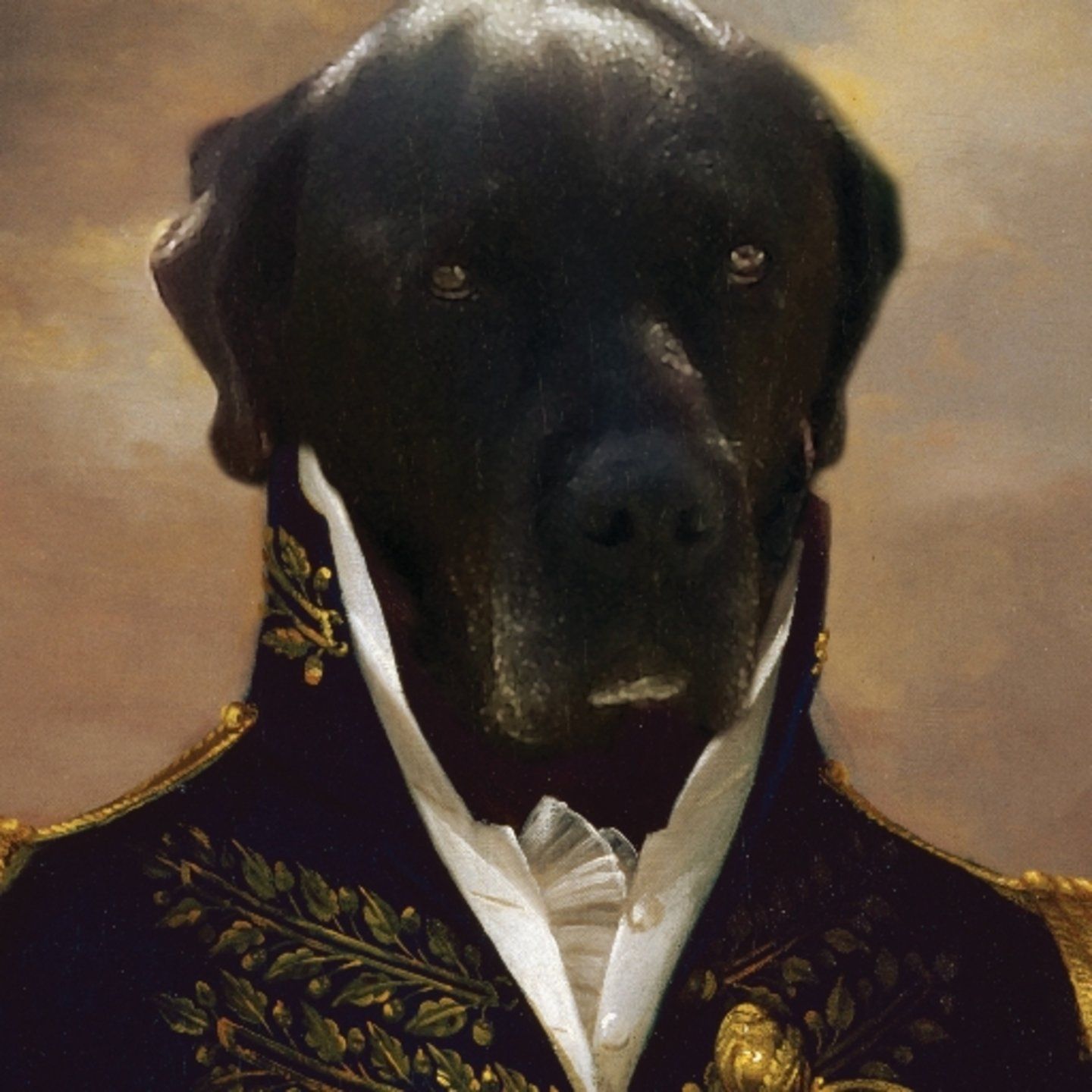 El oficial - retrato sobre lienzo y marco de madera