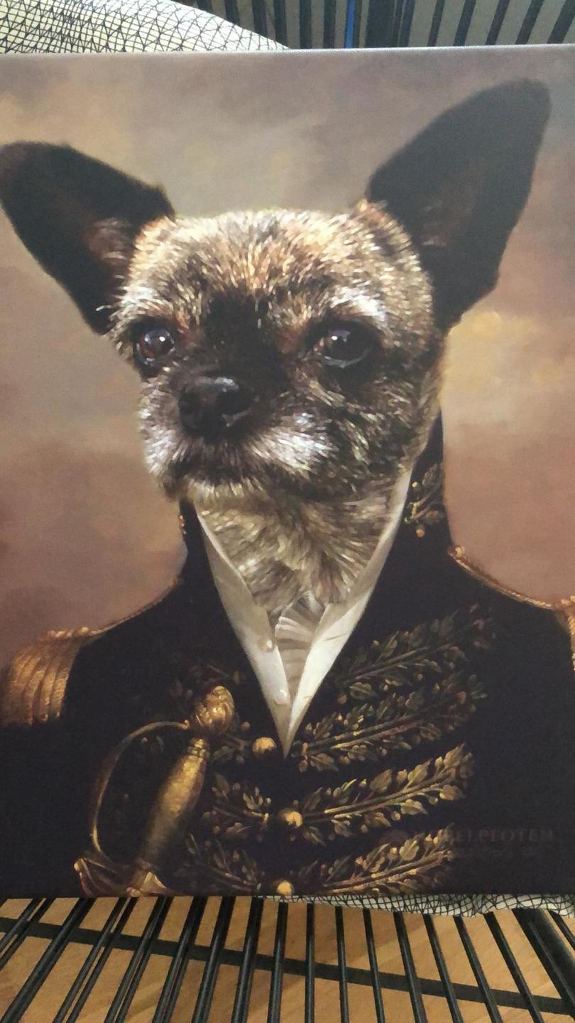 El oficial - retrato sobre lienzo y marco de madera