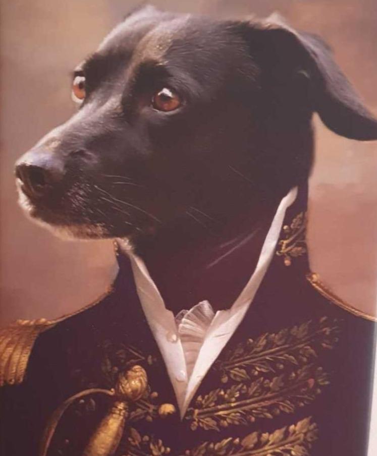 El oficial - retrato sobre lienzo y marco de madera