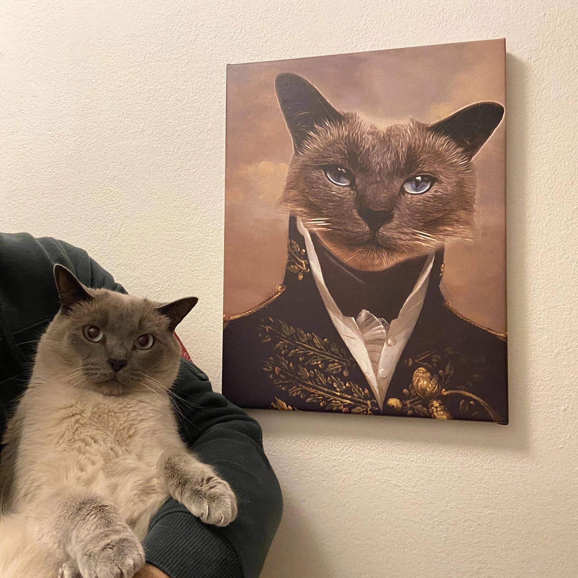 Gemälde Katze gezeichnet Bild Katze