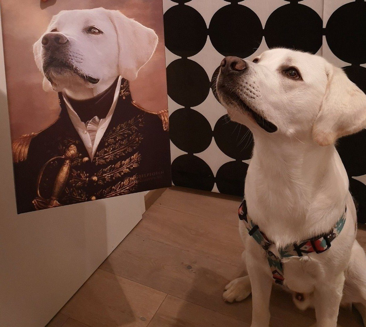El oficial - retrato sobre lienzo y marco de madera