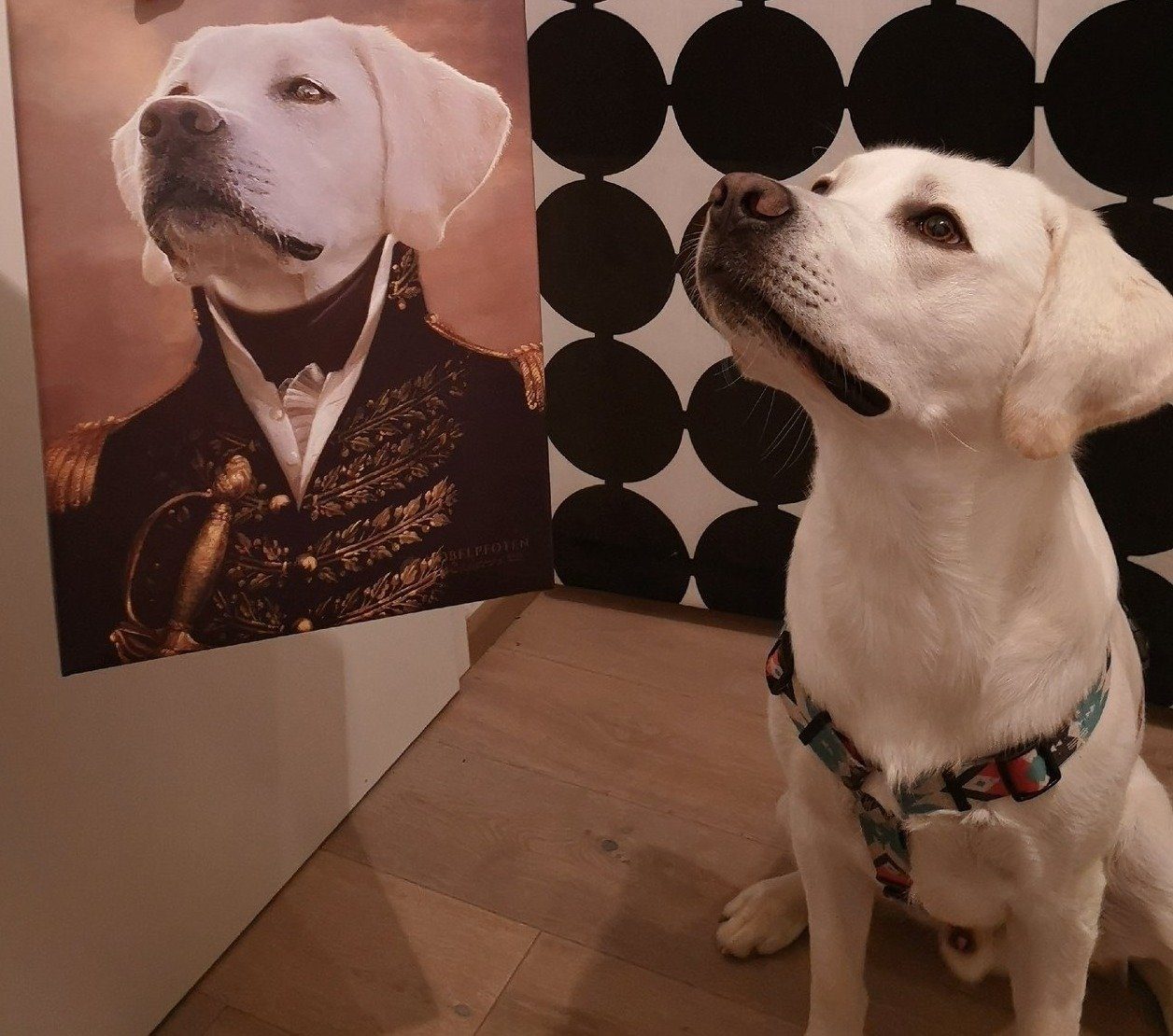 El oficial - retrato sobre lienzo y marco de madera