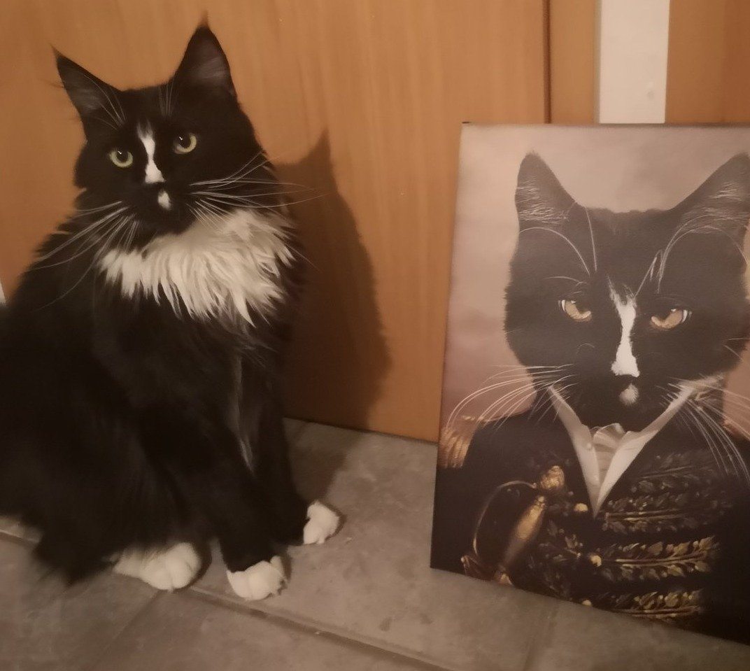 El oficial - retrato sobre lienzo y marco de madera