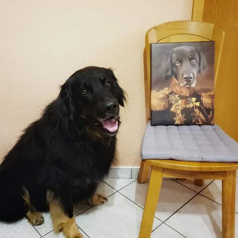 Hund neben seinem Lustigen Tierportait nach Fotovorlage