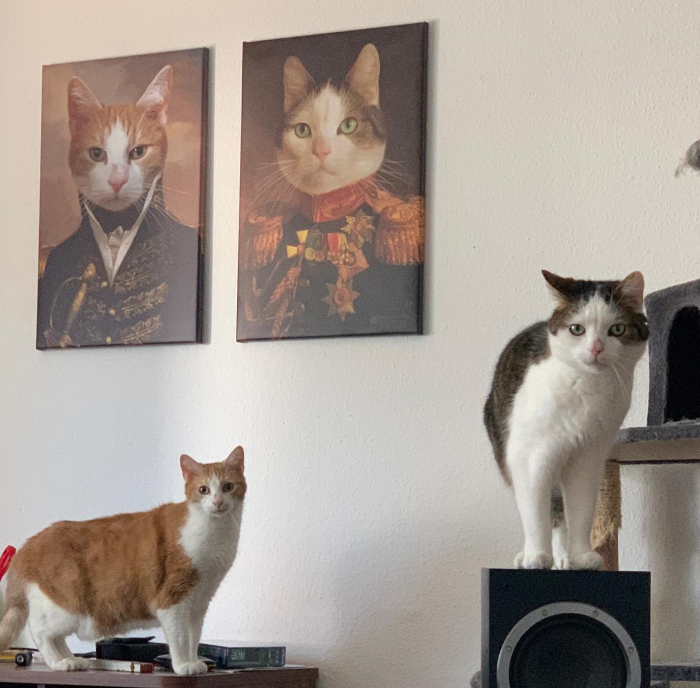 Der Veteran - Porträt auf Leinwand und Holzrahmen