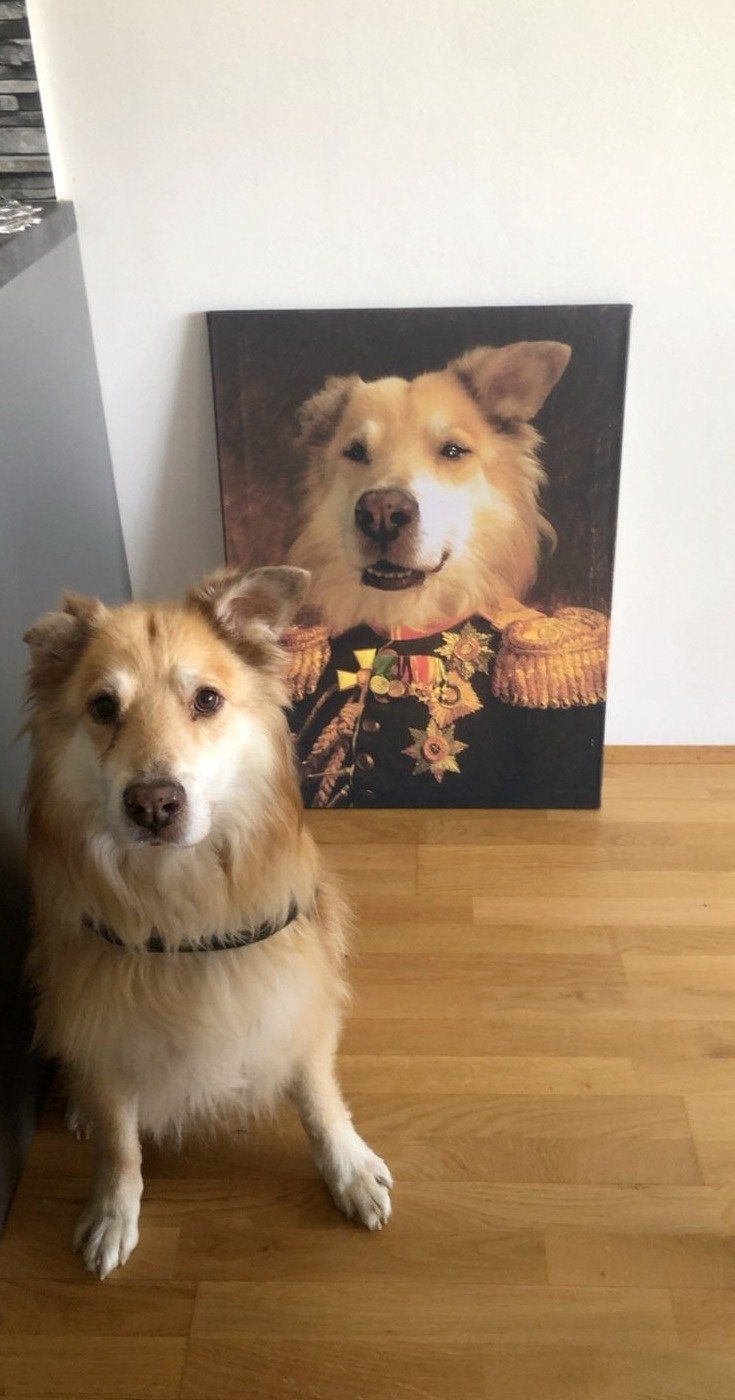Der Veteran - Porträt auf Leinwand und Holzrahmen