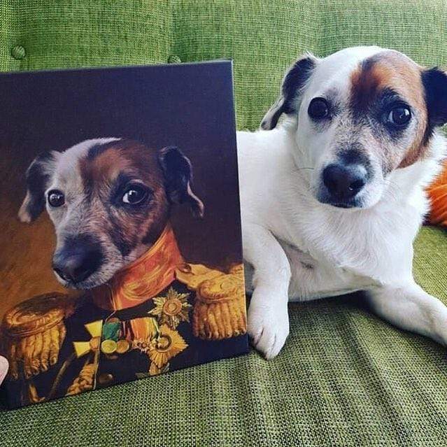 Süßer kleiner Hund liegt auf Sofa neben Haustier Kunst