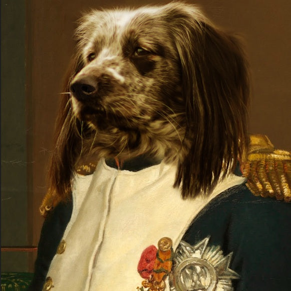 Hunde Portrait Napoleon auf Leinwand
