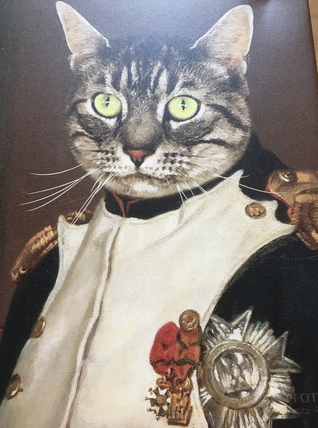 Kaiser Napoleon - Porträt auf Leinwand und Holzrahmen