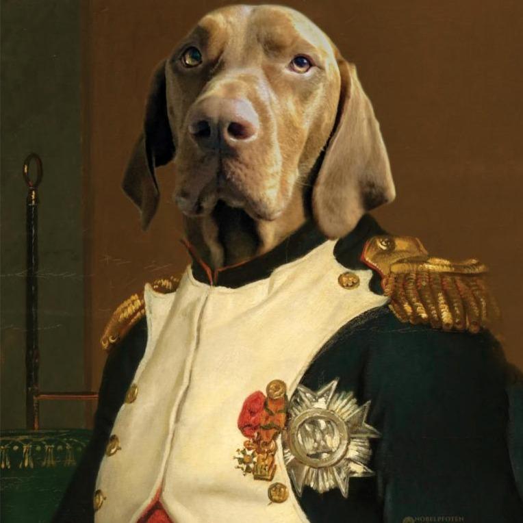 Kaiser Napoleon - Porträt auf Leinwand und Holzrahmen