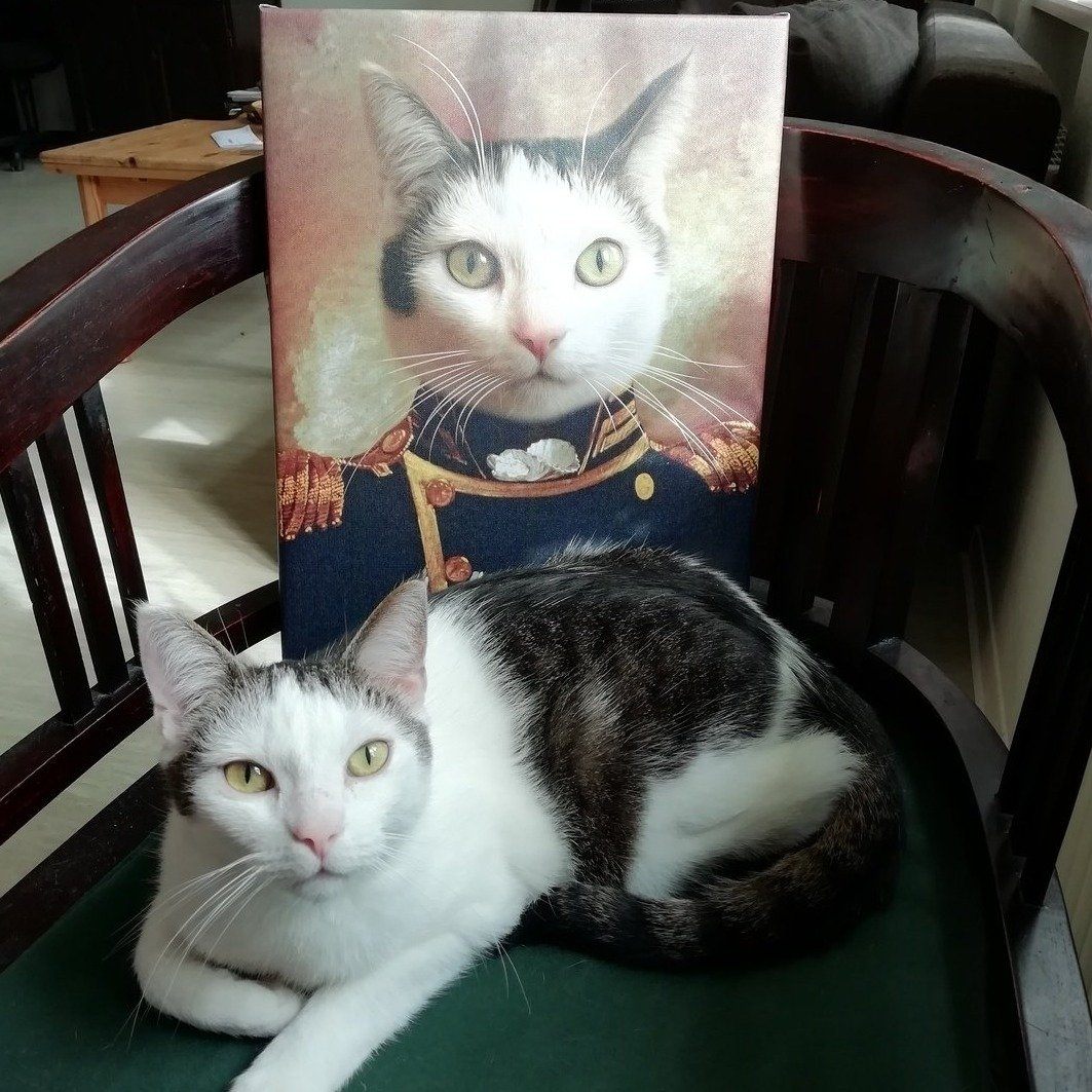 Katze liegt entspannt auf einem Stuhl vor ihrem Porträt auf echter Leinwand