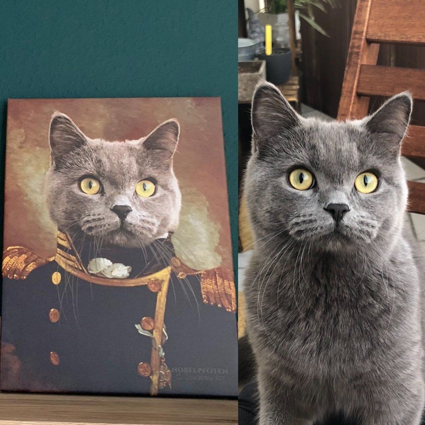 Katze mit gelben Augen sitzt neben ihrem Gemälde auf Leinwand