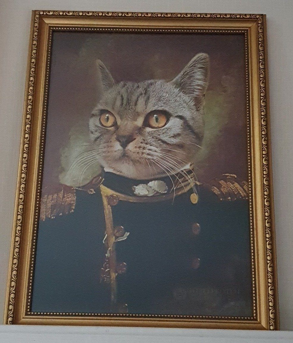 Der Admiral - Poster auf 250g Qualitätsdruck