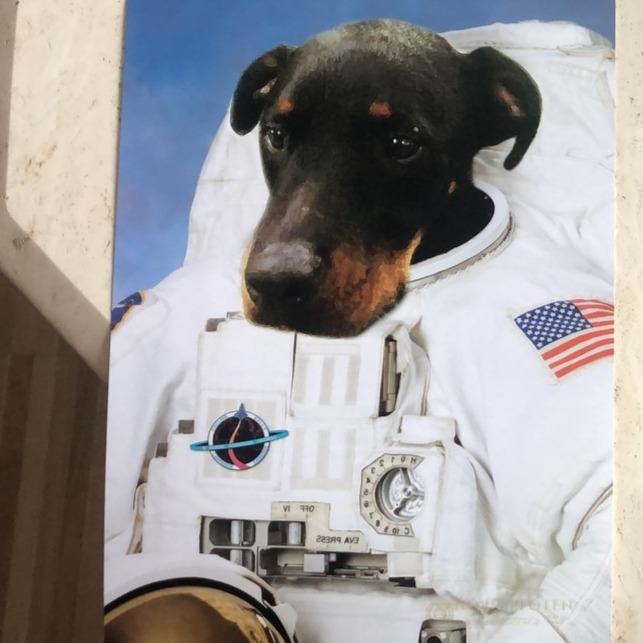 El Astronauta - Póster con impresión de calidad de 250g