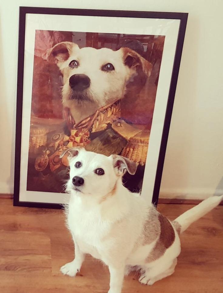 Der Graf - Poster auf 250g Qualitätsdruck