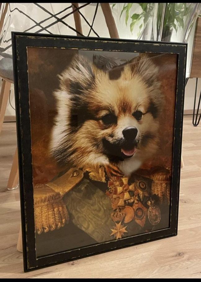 Der Graf - Poster auf 250g Qualitätsdruck