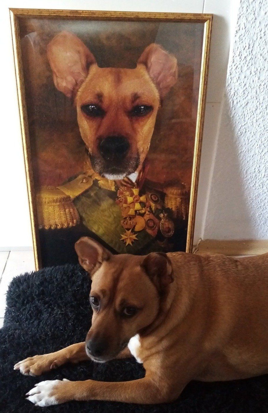 Der Graf - Poster auf 250g Qualitätsdruck
