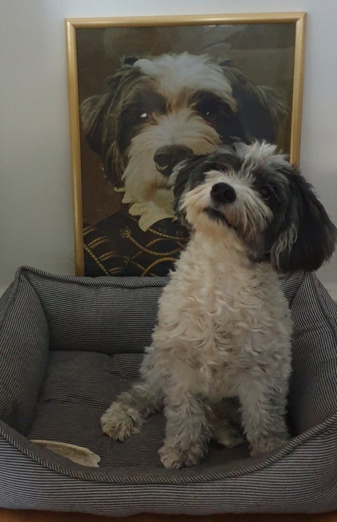 El Duque - póster con impresión de calidad de 250 g